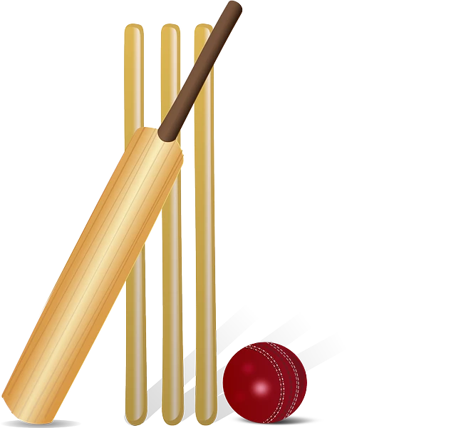 Cricket
